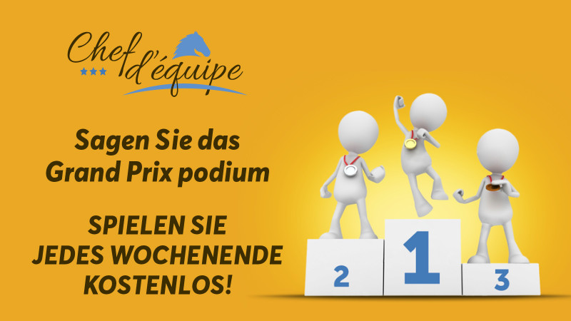 Chef d'Equipe