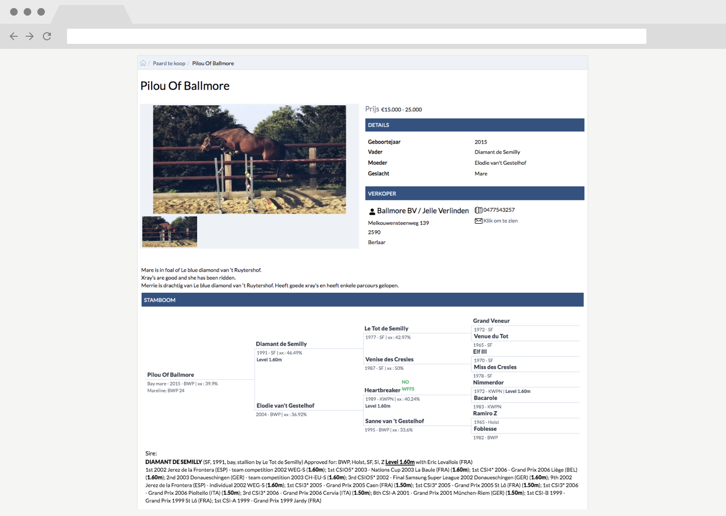 Een paard te koop aanbieden
