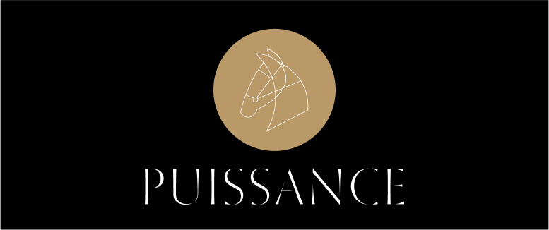 Puissance logo